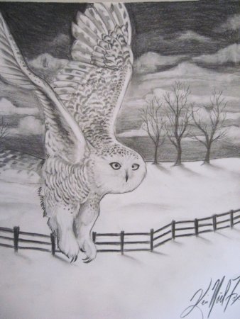 Рисунок на тему волк