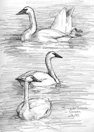 Эскизы природы