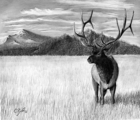 Пейзаж с животными карандашом