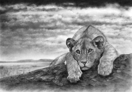 Пейзаж карандашом для выжигания