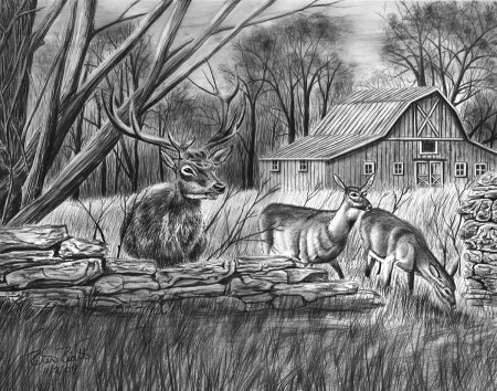 Рисунки карандашом природа