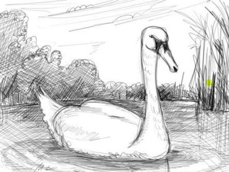 Картинки карандашом животные