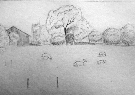 Природа карандашом