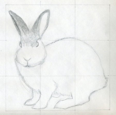 Кролик рисунок карандашом