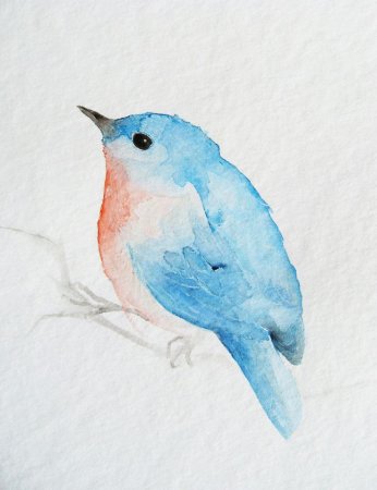 Рисование акварелью птицы
