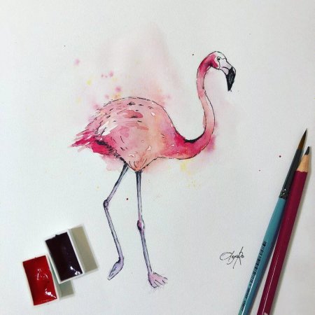 Акварель скетчи розовый Фламинго