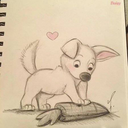Рисунки для срисовки карандашом животные милые