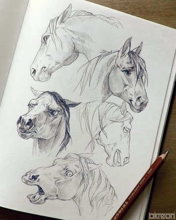 Рисунки для скетчбука карандашом животные легкие (45 фото)