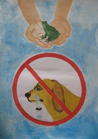 Рисунок на тему охрана природы