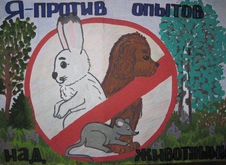 Рисунок защита животных 3 класс