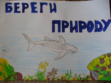 Плакат защита природы