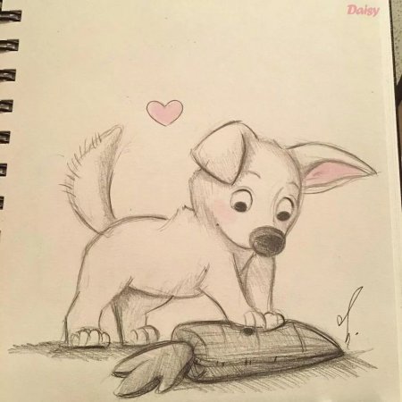 Милые рисунки животных для срисовки карандашом