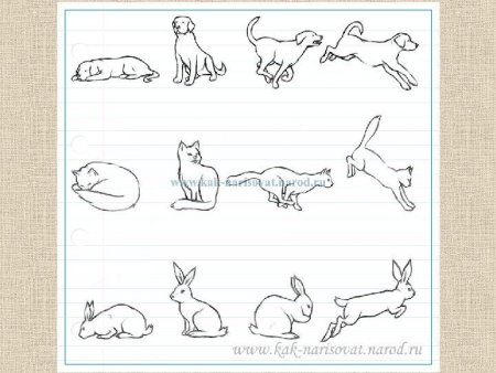 Рисование для детей