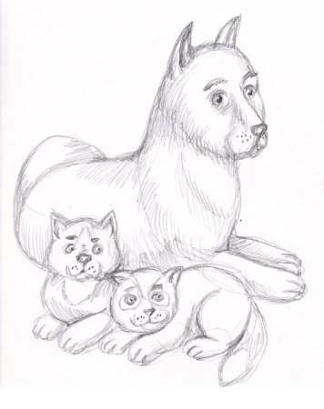 Рисунки карандашом