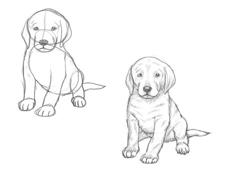 Корова рисунок карандашом для детей