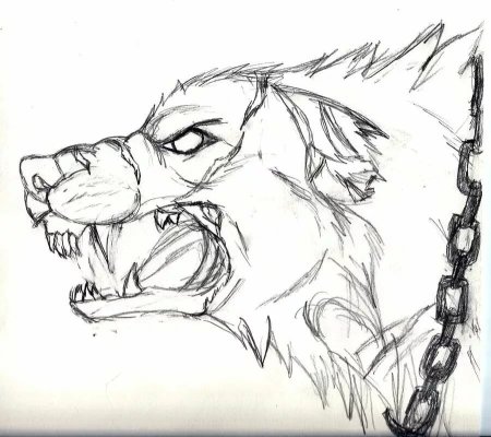 Злая собака рисунок карандашом