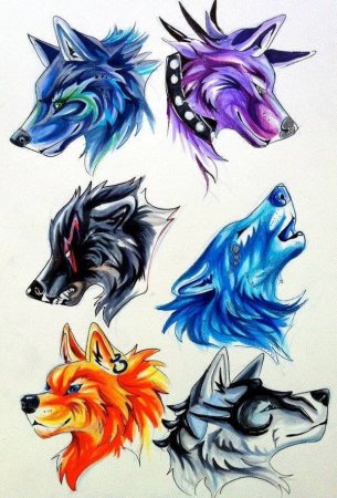 Цветной волк