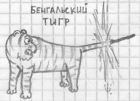 Рисунки карандашом прикольные