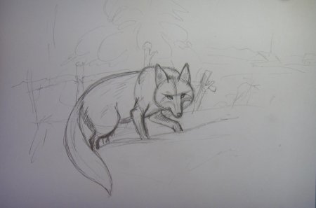 Лисица рисунок карандашом