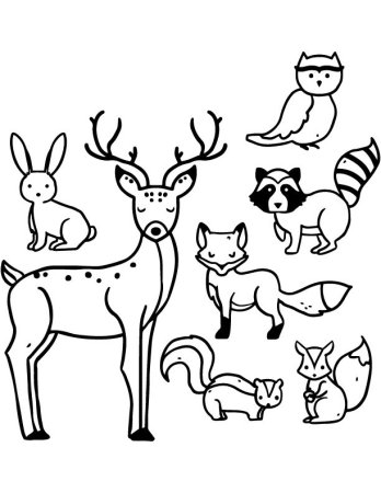 Рисование лесных животных