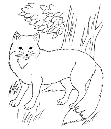 Пришвин Лисичкин хлеб раскраска