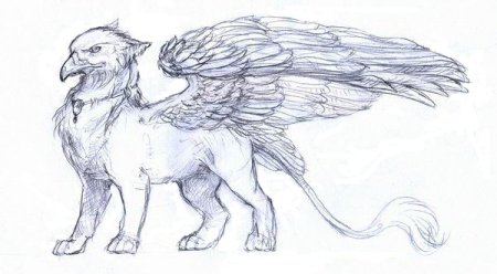 Раскраска Кицунэ Лис