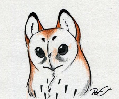 Грифон сипуха