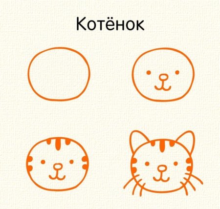 Мордочки животных для детей простые