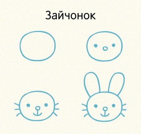 Мордочки животных легко