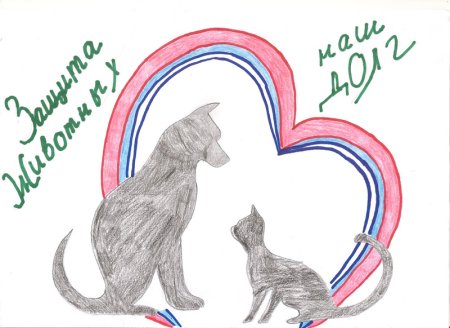 Защитим животных