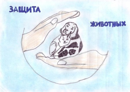 Рисунок на тему защита животных