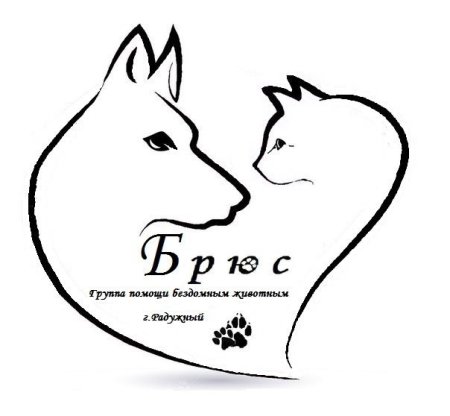 Рисунок берегите животных