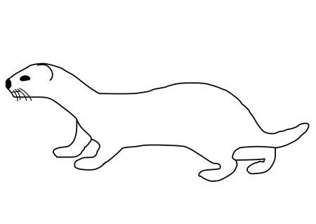 Ласка раскраска