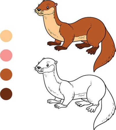 Ласка рисунок для детей