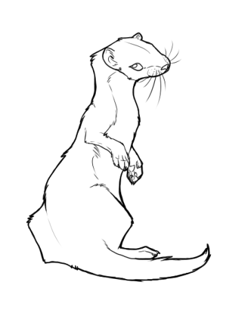 Ласка набросок