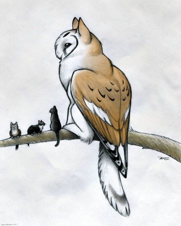 Фантастические животные раскраски для детей