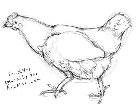 Наброски домашних животных