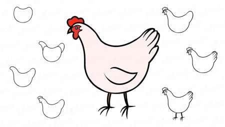 Курица легкий рисунок
