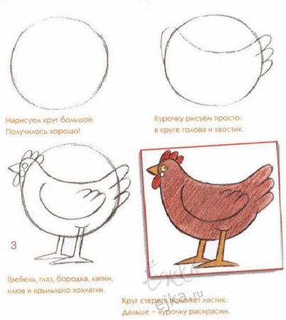 Как рисовать Курочка поэтапно для детей