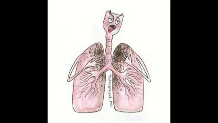 Ароморфозы позвоночных животных