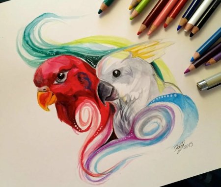 Рисунки цветные