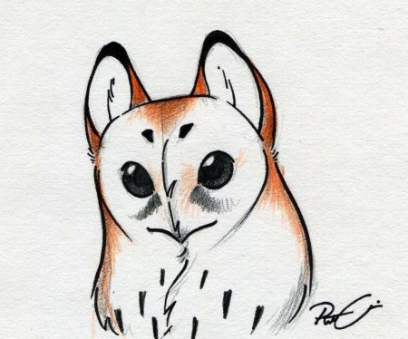 Рисунки для срисовки