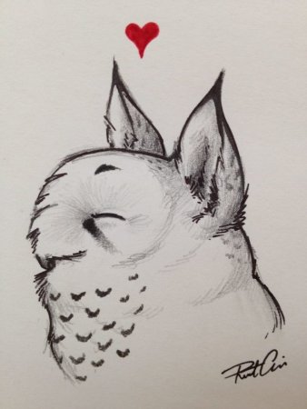 Арты животных легкие