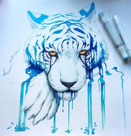 Красивые рисунки животных