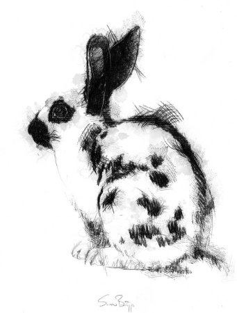 Наброски животных тушью