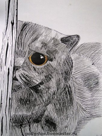 Животные тушью