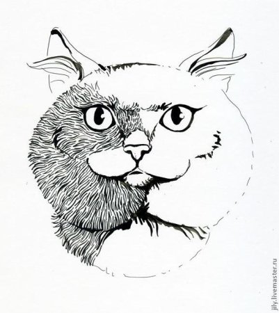 Рисунки тушью