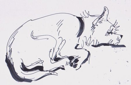 Быстрые зарисовки животных