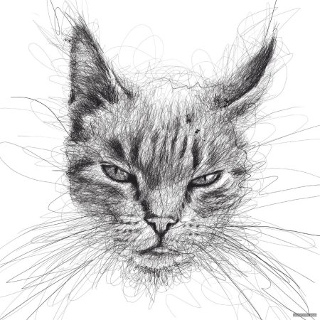 Графическая кошка