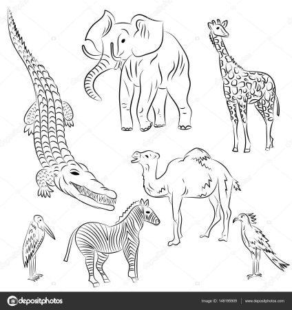 Слон и Жираф раскраска